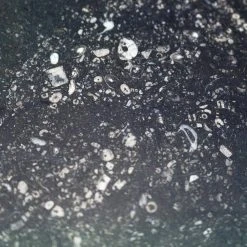 Reno Black 18 in. x 36 in. Satin Marble Floor and Wall Tile (9 sq. ft. / Case) by Ivy Hill Tile 13 Reno Black 18 in. x 36 in. Satin Marble Floor and Wall Tile (9 sq. ft. / Case) by Ivy Hill Tile -Tile Elegant Shop black ivy hill tile marble tile ext3rd100545 44 1000