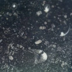 Reno Black 18 in. x 36 in. Satin Marble Floor and Wall Tile (9 sq. ft. / Case) by Ivy Hill Tile 14 Reno Black 18 in. x 36 in. Satin Marble Floor and Wall Tile (9 sq. ft. / Case) by Ivy Hill Tile -Tile Elegant Shop black ivy hill tile marble tile ext3rd100545 fa 1000