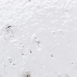 Rhythmic Cellar 2 in. x 9 in. 12mm Glazed Clay Subway Tile (30-piece 4.63 sq. ft. / box) by Ivy Hill Tile 13 Rhythmic Cellar 2 in. x 9 in. 12mm Glazed Clay Subway Tile (30-piece 4.63 sq. ft. / box) by Ivy Hill Tile -Tile Elegant Shop cellar ivy hill tile clay tile ext3rd104735 77 1000