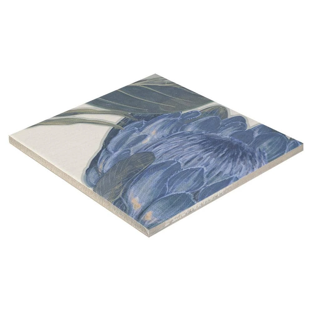 Angela Harris Native Protea 7.87 in. x 7.87 in. Matte Porcelain Floor and Wall Mural Tile (15.49 sq. ft./Case) by Ivy Hill Tile 5 Angela Harris Native Protea 7.87 in. x 7.87 in. Matte Porcelain Floor and Wall Mural Tile (15.49 sq. ft./Case) by Ivy Hill Tile - Image 3