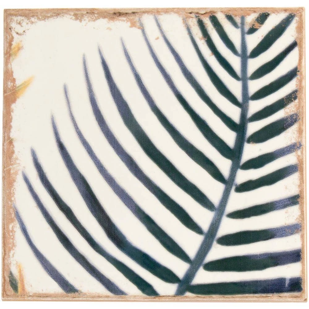 Angela Harris Sonata Decor 8 in. x 8 in. x 9mm Polished Ceramic Wall Tile (25 pieces / 10.76 sq. ft. / box) by Ivy Hill Tile 11 Angela Harris Sonata Decor 8 in. x 8 in. x 9mm Polished Ceramic Wall Tile (25 pieces / 10.76 sq. ft. / box) by Ivy Hill Tile - Image 9