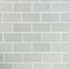 Delphi Subway Tundra 3 in. x 6 in. Polished Wall Ceramic Tile (4 Sq. Ft. / Case) by Ivy Hill Tile 1 Delphi Subway Tundra 3 in. x 6 in. Polished Wall Ceramic Tile (4 Sq. Ft. / Case) by Ivy Hill Tile -Tile Elegant Shop tundra ivy hill tile ceramic tile ext3rd105775 64 1000